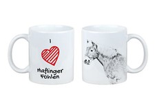 Haflinger Fohlen Kubekz