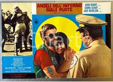 1968 ANGELI DELL'INFERNO SU RUOTE Hells Angels on wheels Adam ROARKE Lobby card