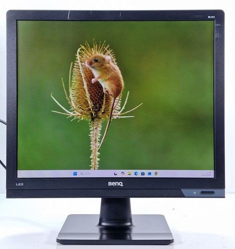 Benq bl902 pollici monitor - bl902, 19