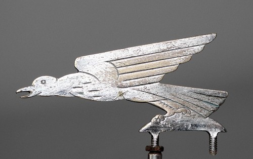 Statuina parafango anni - , 30