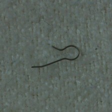 MOLLETTA SALTO GIORNI- DATE