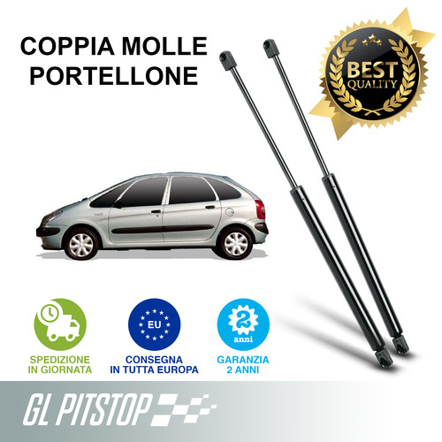 Pistoni portellone coppia - pistoni,