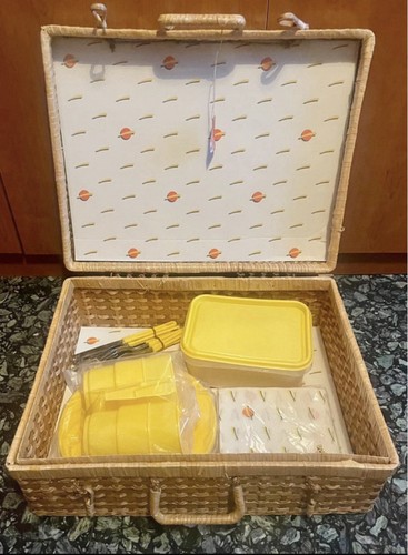 Cestino picnic algida - cestino,