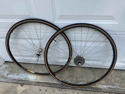 Campagnolo omega strada hardox - omega,