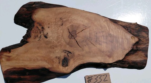 Bastogne walnut slab - bastogne,