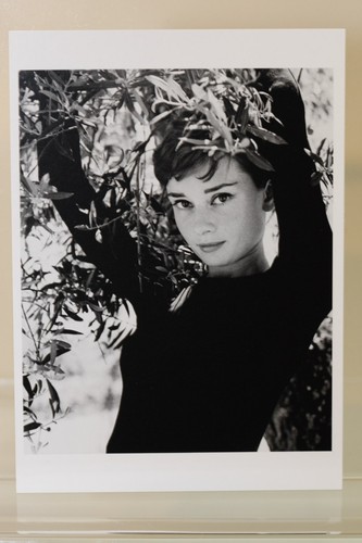 Audrey hepburn roma - hepburn,, roma,
