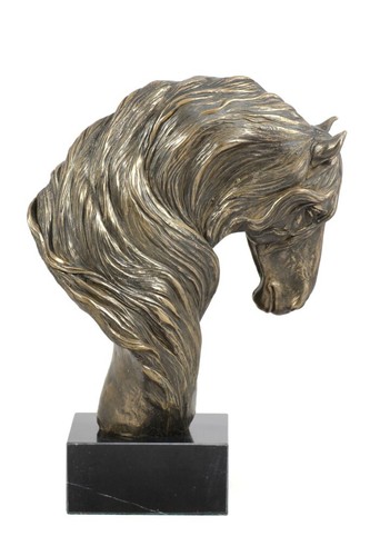 Cavallo frisone testa di - frisone,