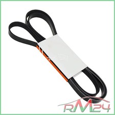 1X CINGHIA POLY V PER RENAULT