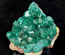 Dioptasi gemma 49 mm estratta dal Congo, esemplare minerale naturale