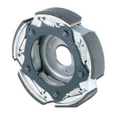 Frizione Malossi Maxi Fly