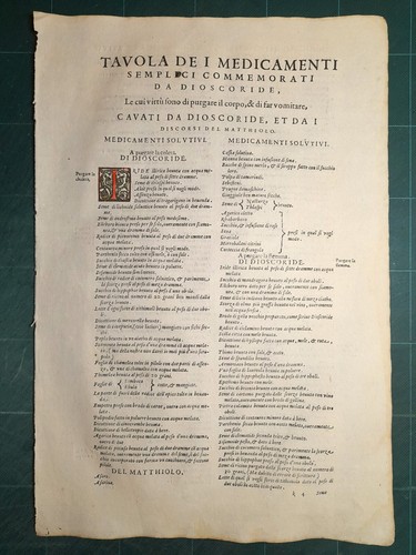 Mattioli matthioli erbario - matthioli,