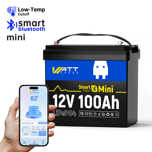 Batteria lifepo4 12v 100ah - batteria,
