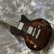 Chitarra elettrica corpo semi