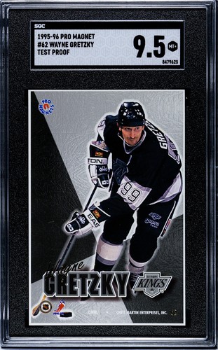 1995 pro magnete - magnete, wayne