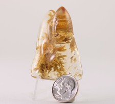 Fossile Nice Golden Copal