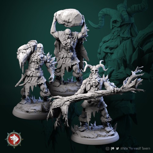 Druido barbaro combattente - barbaro,