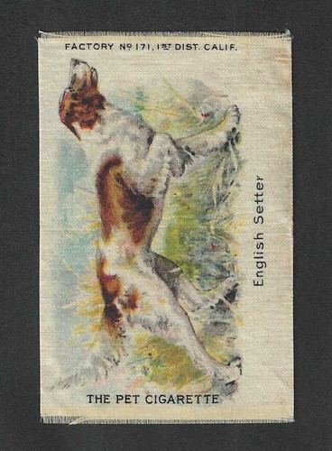 The pet sigaretta tabacco - s4,