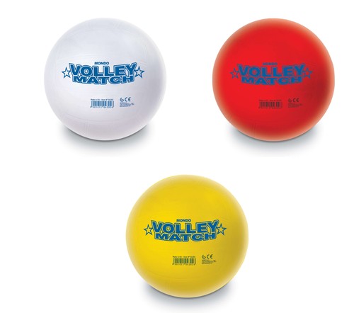 Pallone beach volley match - pallone,