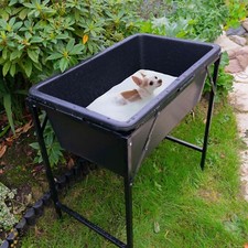 DIRTY DOG Toelettatura Cani