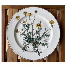 Piatto porcellana villeroy - piatto, &