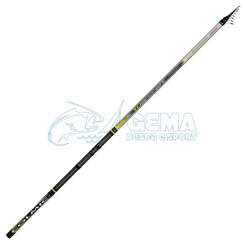 Canna bolognese colmic - canna,