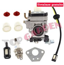 Carburateur pour Florabest FBS