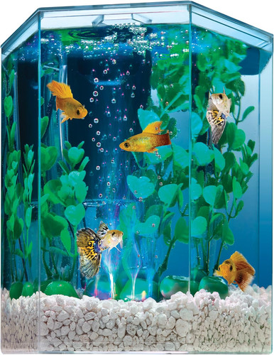 Tetra bubbling led gallone - 1,