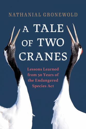 Tale two cranes lessons - tale,