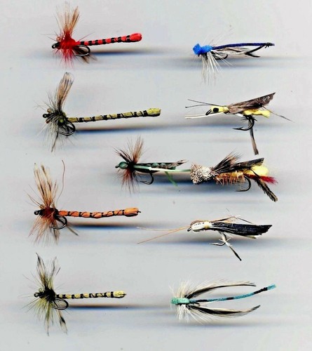 Mosche trota collezione - trota:,
