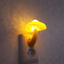 Luce notturna fungo - notturna,