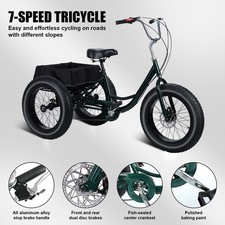 Adult tricycle speed - adult, with