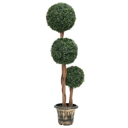 Vidaxl pianta bosso - pianta, di
