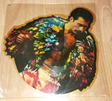 Vinyl Single Picture Disc