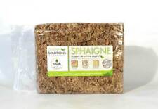 Sfagno per Bonsai cileno da 1