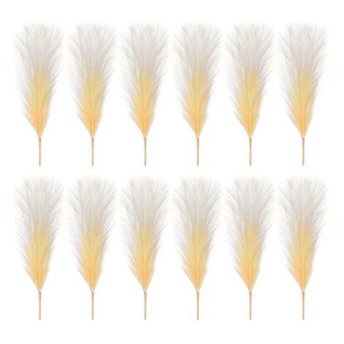 Erba pampas finta 17 - pz,