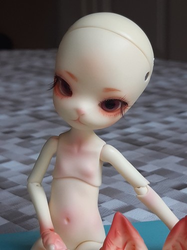 Dollzone mini kitty coa bjd - dollzone,