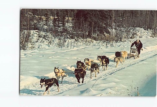 Cartolina alaskan race trail - alaskan,