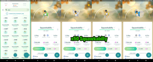 Squawkabilly x50 collezione - x50,