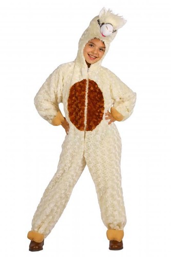 Lama alpaca cammello