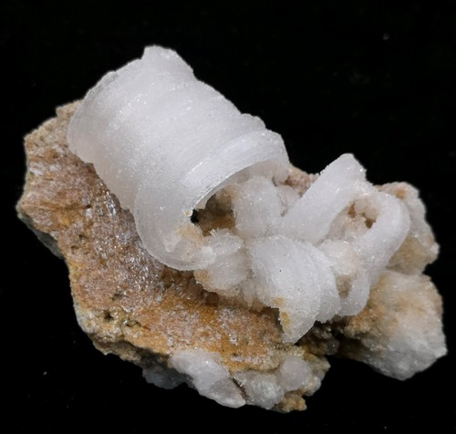 Selenite forma corno - forma, 'corno