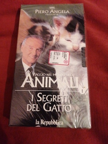 Film vhs viaggio - film, mondo