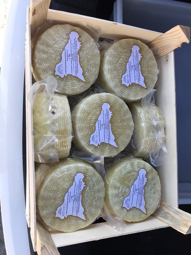 Pecorino primo sale siciliano - primo,