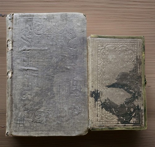 1859 new testament - &, psalms