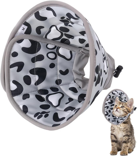 Collare elisabettiano gatto - collare,