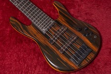 Fodera 6 corde basso Chuck