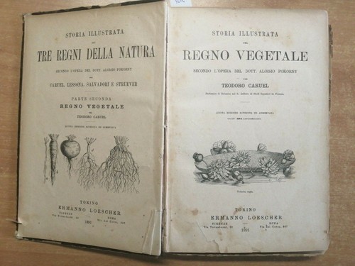 Storia illustrata del - illustrata, regno