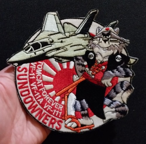 Navy tomcat forever - us,