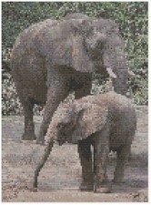 Punto Croce Motivo Da