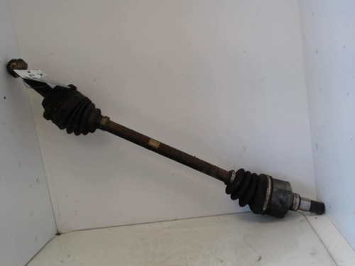 Giunto cardanico albero - , di
