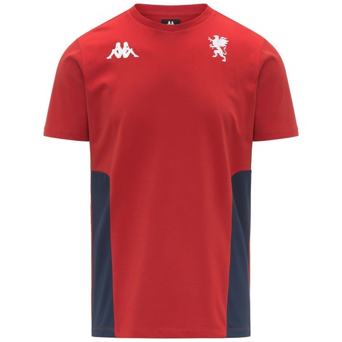 Tshirt rappresentanza - tshirt,